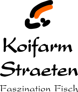 Koi kaufen
