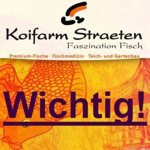 Wichtig - Koifarm Straeten