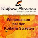 Koifarm Straeten - Wintersaison