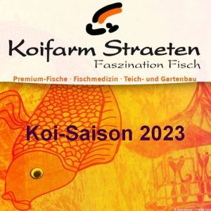 Koi-Saison 2023 - Koifarm Straeten