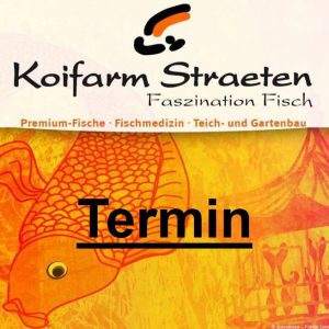 Termin Koifarm Straeten