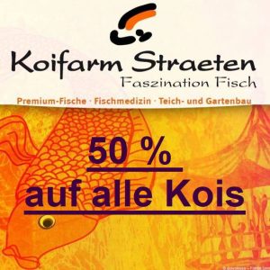 Kois Preisreduzierung 