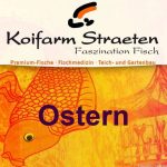 Ostern - Koifarm Straeten