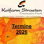Koi-Termine 2026 - Koifarm Straeten